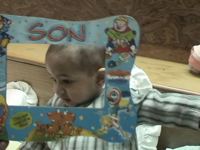 Adaptability of the Brain's Structure and Functioning